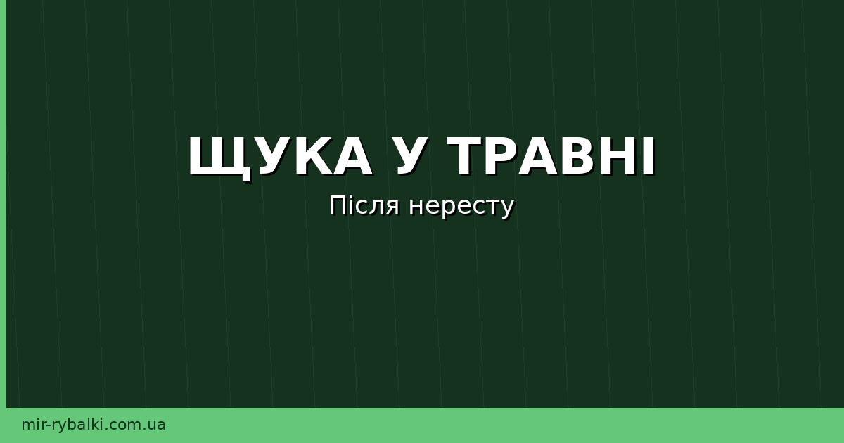 Щука у травні: повадки після нересту та найкращі приманки