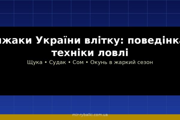 Хижаки України влітку: поведінка, місця та кращі техніки ловлі