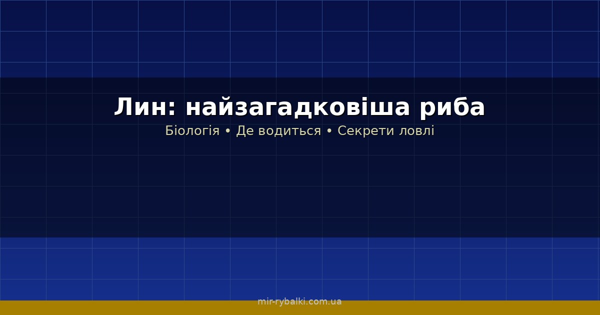 Лин: найзагадковіша риба України — біологія, місця і секрети ловлі